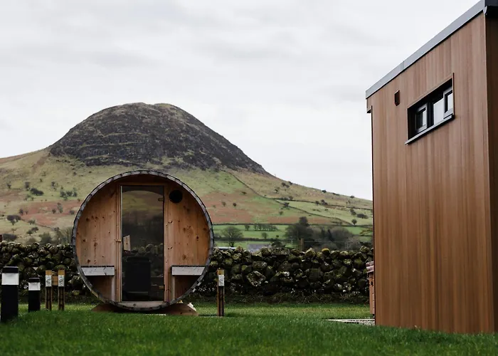 Slemish Hideaway - Funky Pheasant