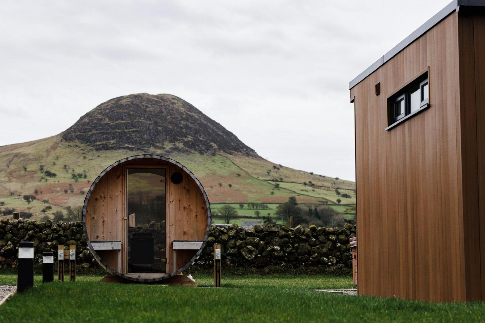 Slemish Hideaway - Funky Pheasant