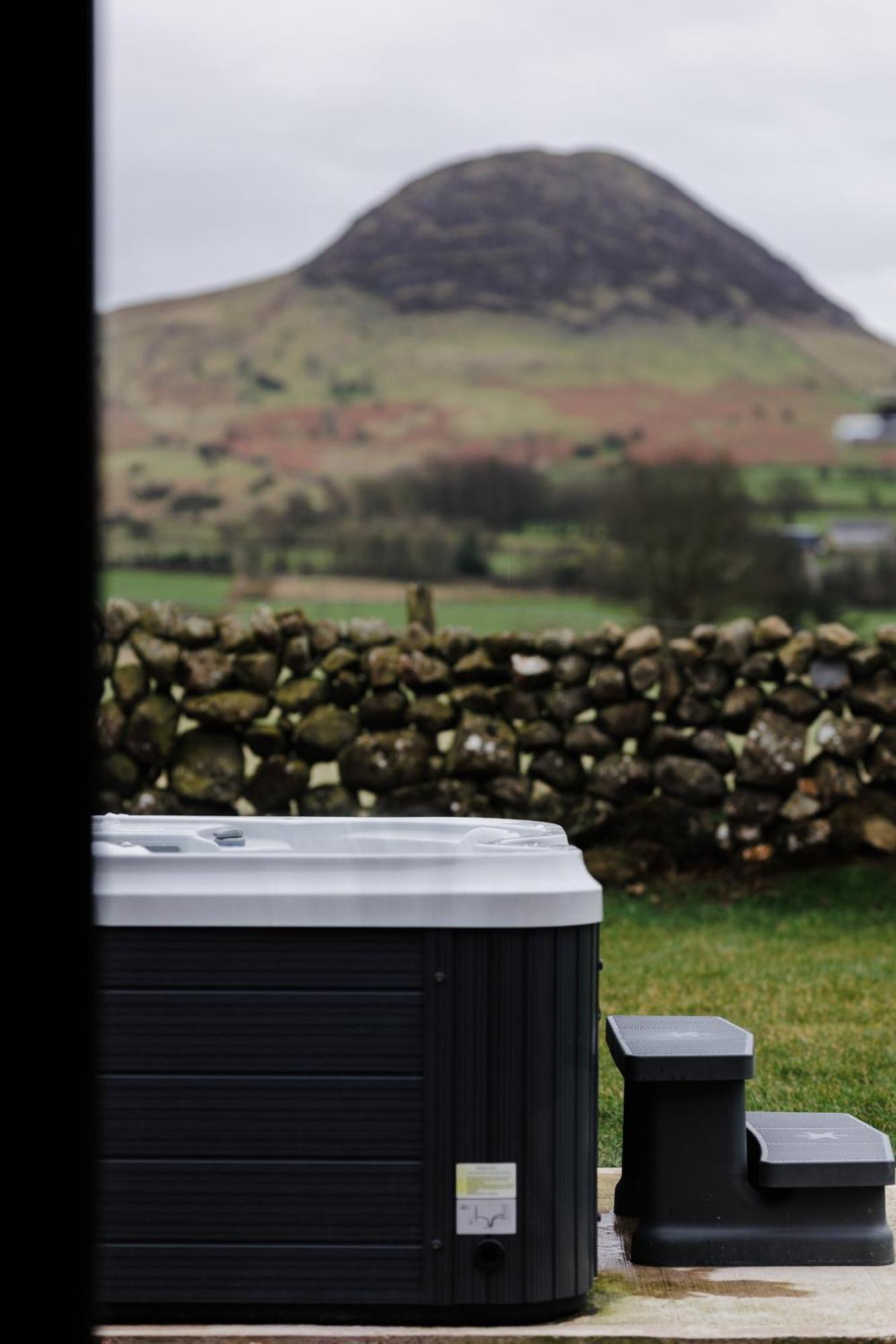 Lodge Slemish Hideaway - Funky Pheasant