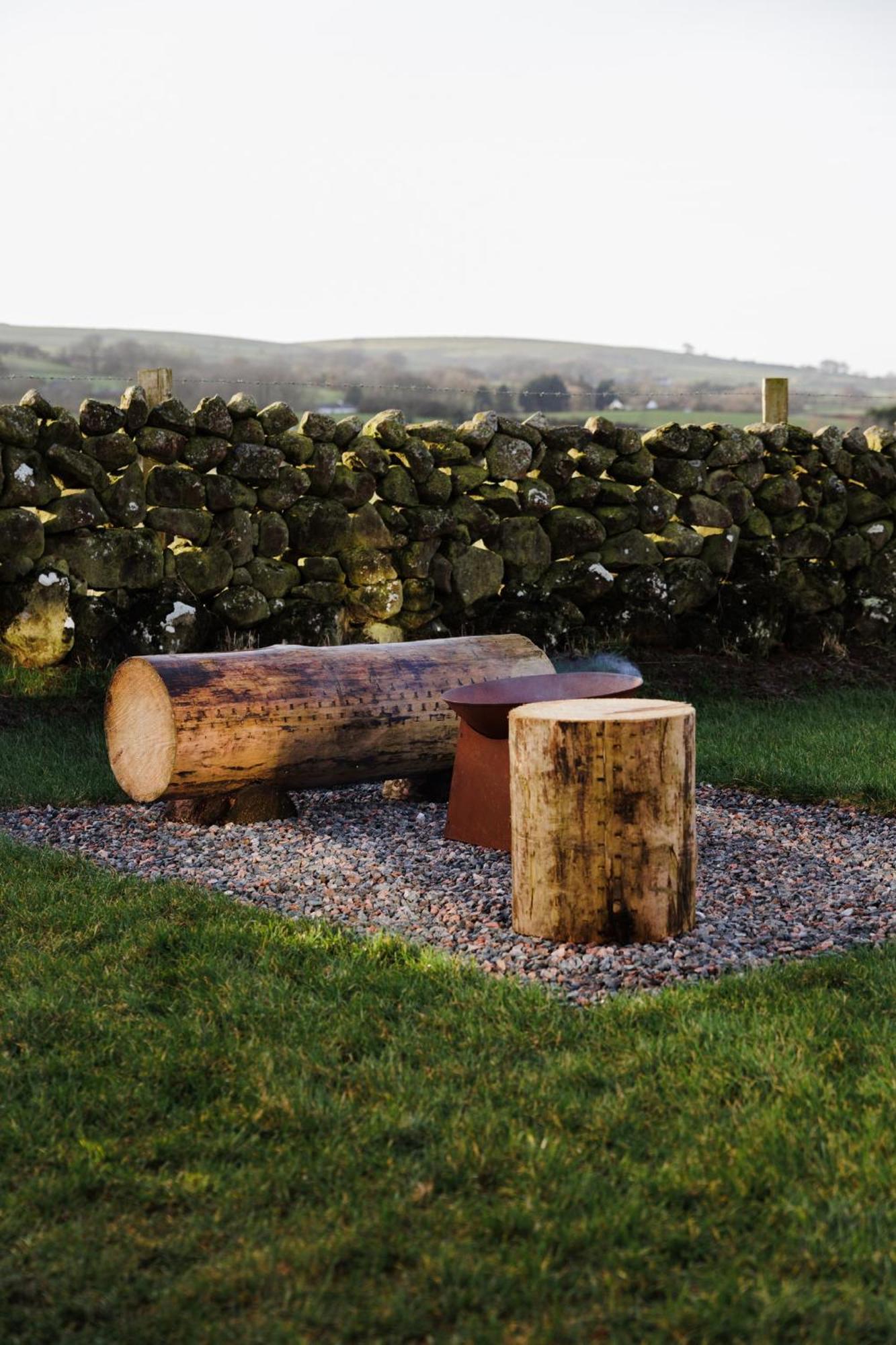 Slemish Hideaway - Funky Pheasant *