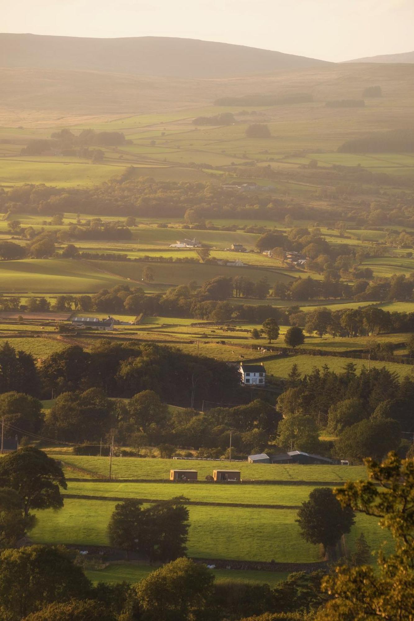 Slemish Hideaway - Funky Pheasant Broughshane